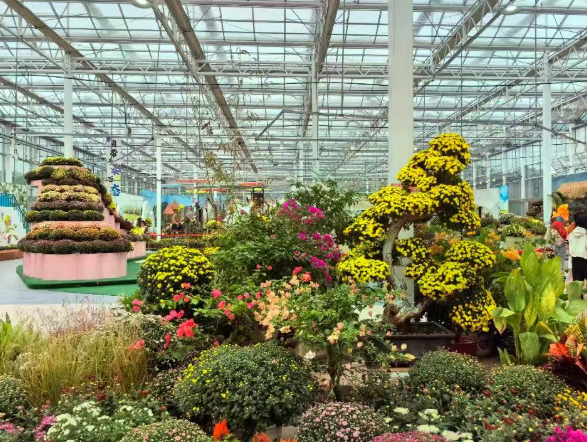 /uploads/image/2025/10/21/c6bb5defd89ee0905164746528a06ccc.png /uploads/image/2025/10/21/c6bb5defd89ee0905164746528a06ccc.png