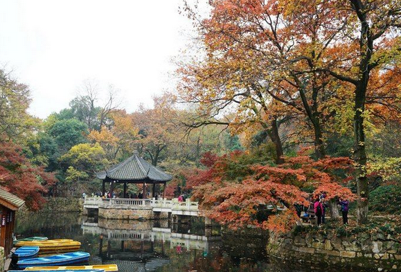 /uploads/image/2025/10/21/d5e1331c0be498e110f74d7bd3ef4b74.png /uploads/image/2025/10/21/d5e1331c0be498e110f74d7bd3ef4b74.png