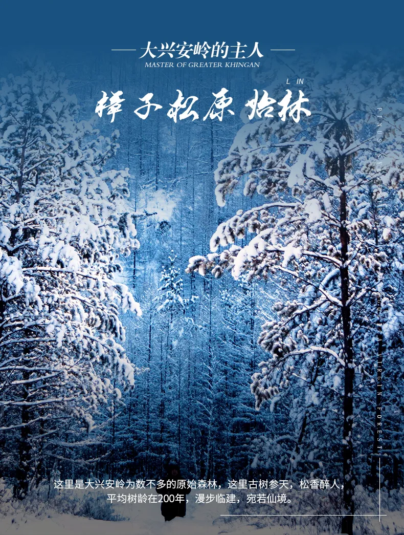 3a5cccc41fb2d93719b90353e9815e24.png