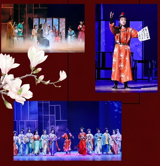 话剧《红楼梦》惠州站