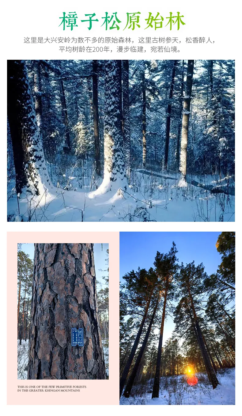 af63deb2b67130c52ebbc2ed6f2570a9.png