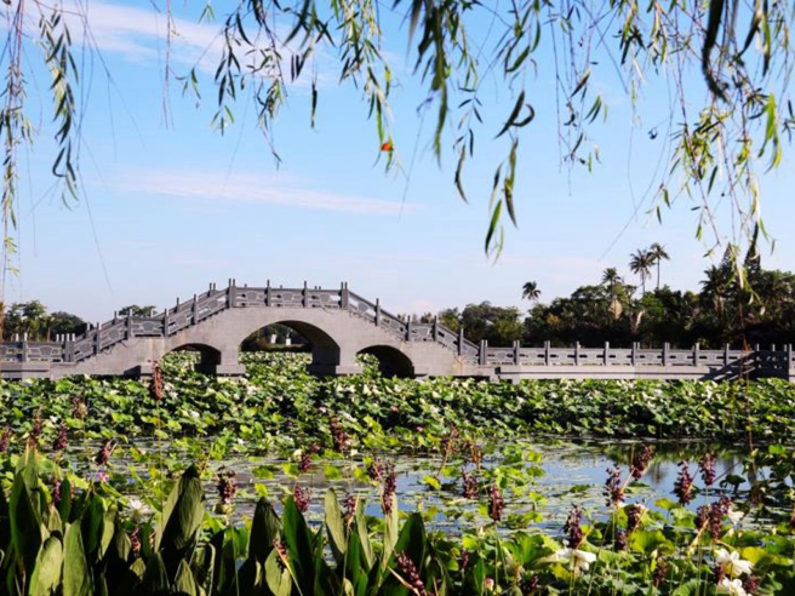 /uploads/image/2025/10/23/47bb52fbc22c542908fe08f6ea1af140.jpg /uploads/image/2025/10/23/47bb52fbc22c542908fe08f6ea1af140.jpg