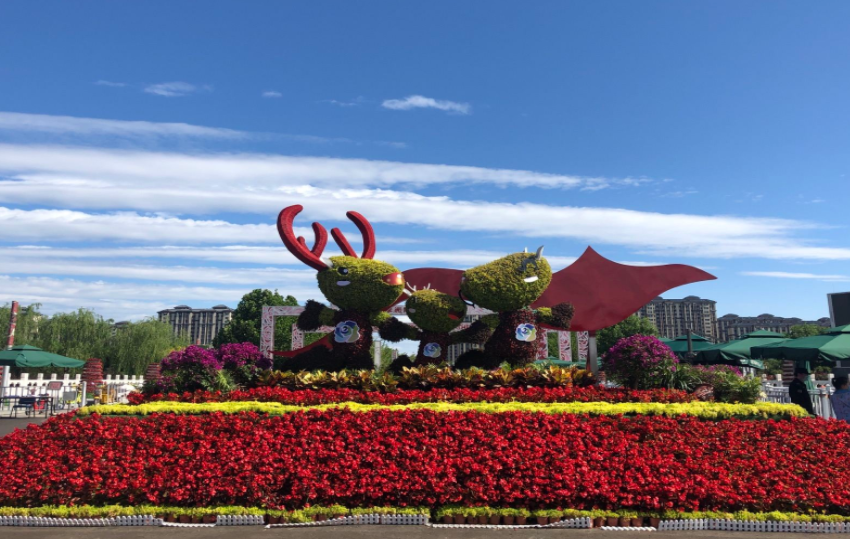 北京大兴世界月季主题园 北京大兴世界月季主题园