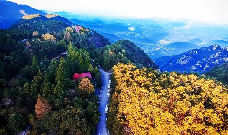 /uploads/image/2025/10/23/511d1696abd5281e09255c958faf9572.jpg /uploads/image/2025/10/23/511d1696abd5281e09255c958faf9572.jpg