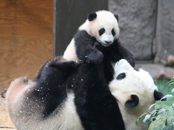 /uploads/image/2025/10/23/953a4f719c9ea39ad22552245d95460f.png /uploads/image/2025/10/23/953a4f719c9ea39ad22552245d95460f.png