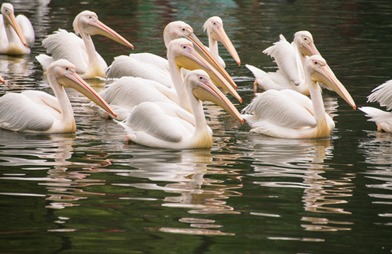 /uploads/image/2025/10/23/294e8591462b0043a26922cacf8ac9ec.png /uploads/image/2025/10/23/294e8591462b0043a26922cacf8ac9ec.png