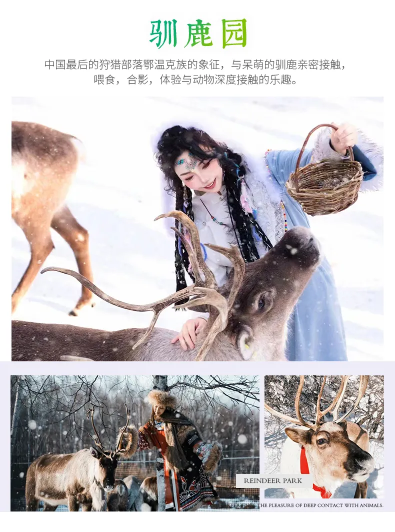 b12406a935dc9b954102378f7bd49c40.png