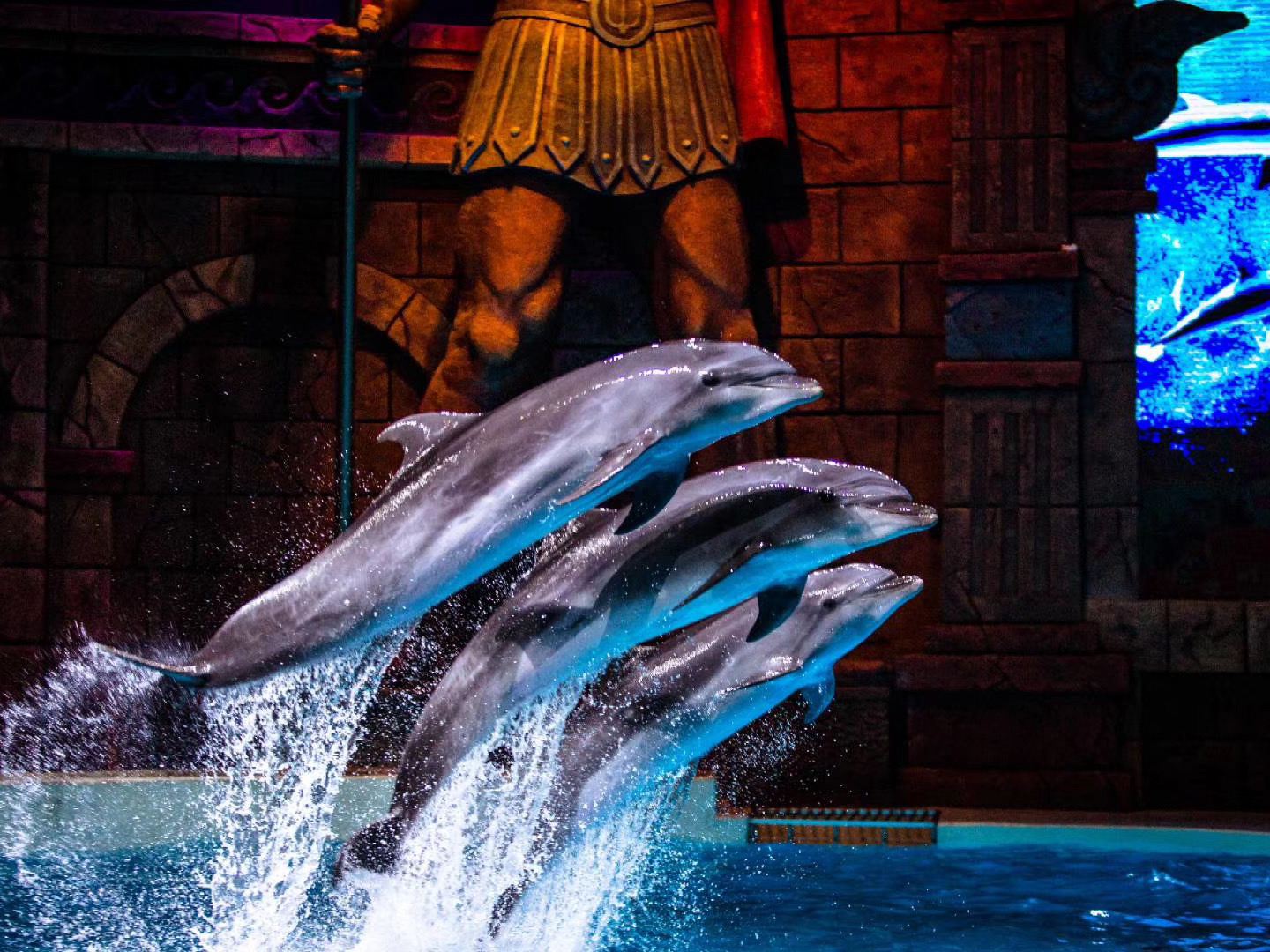 哈尔滨波塞冬海底世界 哈尔滨波塞冬海底世界