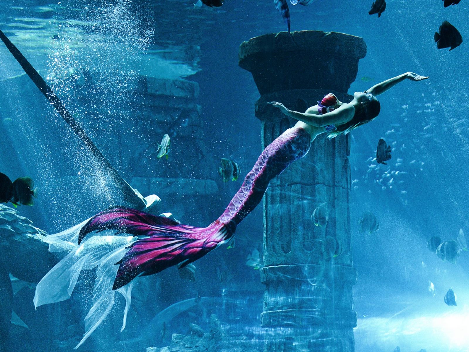 哈尔滨波塞冬海底世界 哈尔滨波塞冬海底世界