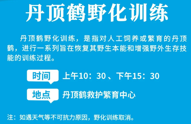 /uploads/image/2025/10/24/39c147b200c4f3c29f5d74424ca4507d.png /uploads/image/2025/10/24/39c147b200c4f3c29f5d74424ca4507d.png