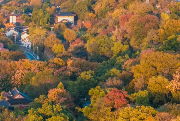 /uploads/image/2025/10/24/3f673ec8f337a62c0ec5f4156f94bf90.png /uploads/image/2025/10/24/3f673ec8f337a62c0ec5f4156f94bf90.png