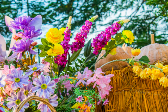 大画西游梦工厂 大画西游梦工厂