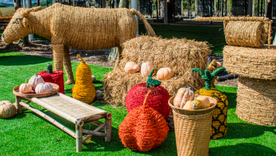 大画西游梦工厂 大画西游梦工厂