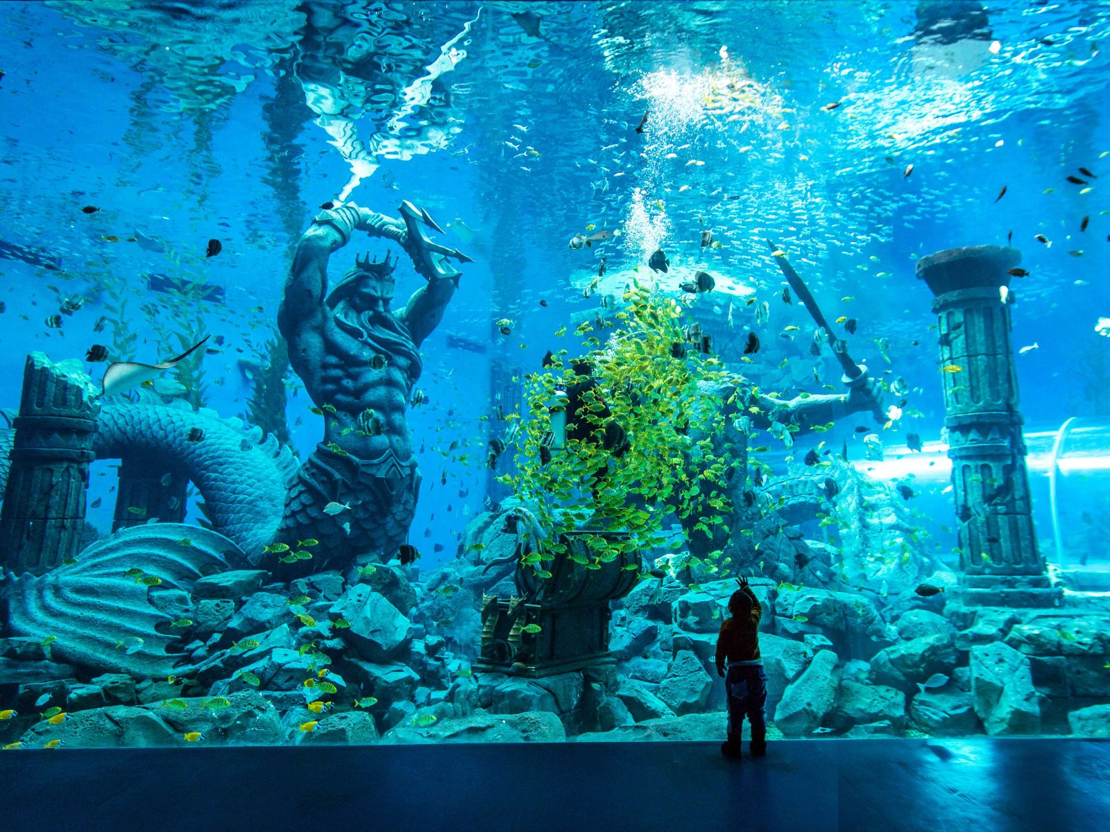 哈尔滨波塞冬海底世界 哈尔滨波塞冬海底世界