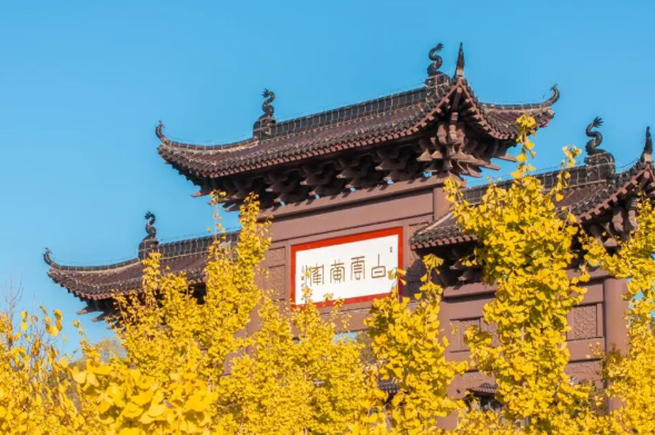 /uploads/image/2025/10/24/18920e6774e88ea200911d3000a5d25c.png /uploads/image/2025/10/24/18920e6774e88ea200911d3000a5d25c.png