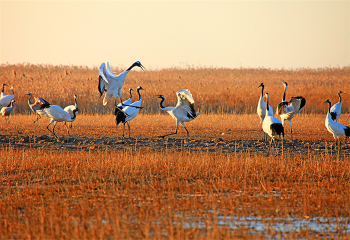 /uploads/image/2025/10/24/1d5aa3c9dee72b2c9671ff48d6c08187.jpg 90855-uVCChO3ylH86S.jpg