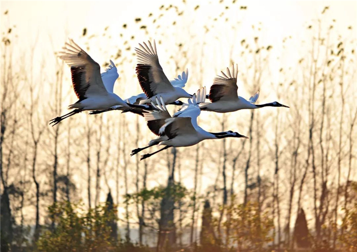 /uploads/image/2025/10/24/38dbfe8a0d6e7f64ca318524e2413081.jpg b4fb8c59574ec6fda82c1093ee634b04.jpg