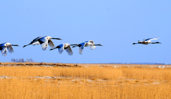 /uploads/image/2025/10/24/d0be439623b1a5f8240391b133ba92e0.png /uploads/image/2025/10/24/d0be439623b1a5f8240391b133ba92e0.png