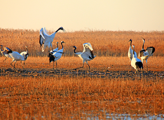 /uploads/image/2025/10/24/a8d18e9c5946ecbebd95cb54ca35cb23.png /uploads/image/2025/10/24/a8d18e9c5946ecbebd95cb54ca35cb23.png