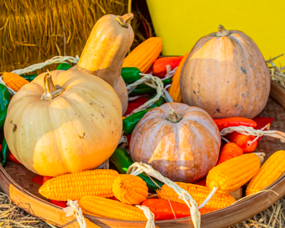 大画西游梦工厂 大画西游梦工厂