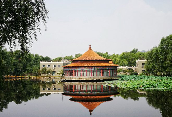 /uploads/image/2025/10/24/ef7584c00709f365a03073b0ab63c43c.jpeg 138495-191209135520433.jpeg