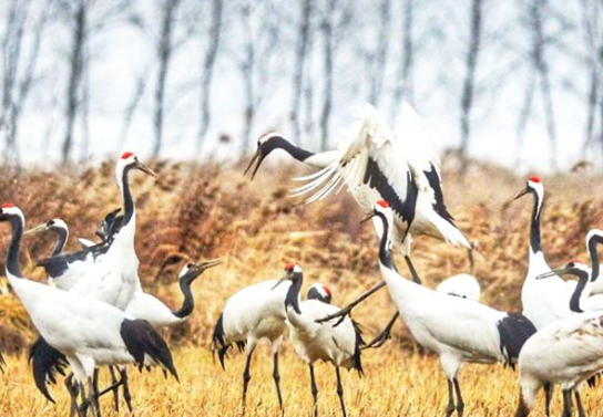 /uploads/image/2025/10/24/01875b8e5a62aec38e7d1d21f6bbeb3e.png /uploads/image/2025/10/24/01875b8e5a62aec38e7d1d21f6bbeb3e.png