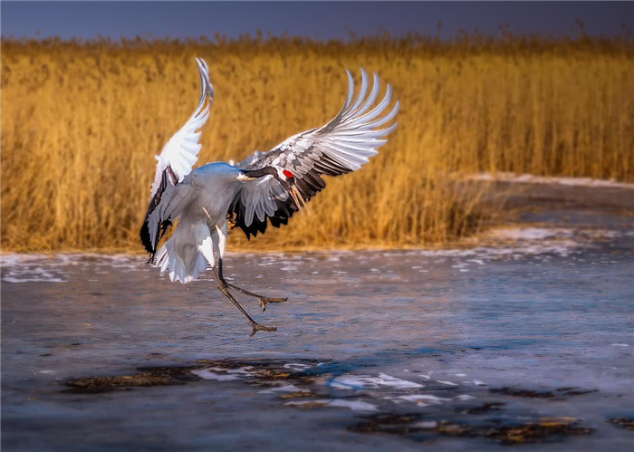 /uploads/image/2025/10/24/9e59418d7b65f9cf875db7499dabdcb0.jpg 481a79f7ab5406f428bfe8c0884ab74e.jpg