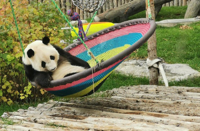 /uploads/image/2025/10/25/6b3e03a9ec7640de81cae3d5f1a234cb.jpg /uploads/image/2025/10/25/6b3e03a9ec7640de81cae3d5f1a234cb.jpg