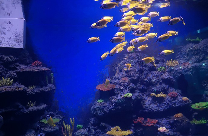 /uploads/image/2025/10/25/3e177aada2f6e37455534a28c46fa288.jpg /uploads/image/2025/10/25/3e177aada2f6e37455534a28c46fa288.jpg