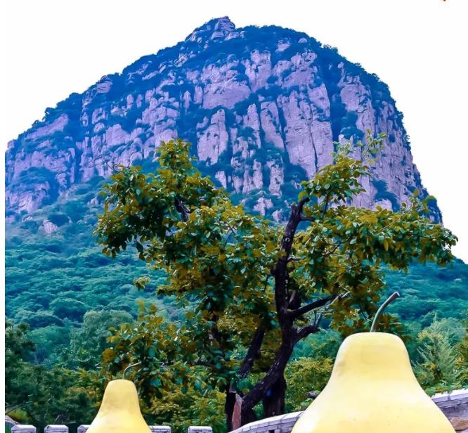 /uploads/image/2025/10/25/4803b6ff8bff756fef571f71ebf20164.png /uploads/image/2025/10/25/4803b6ff8bff756fef571f71ebf20164.png