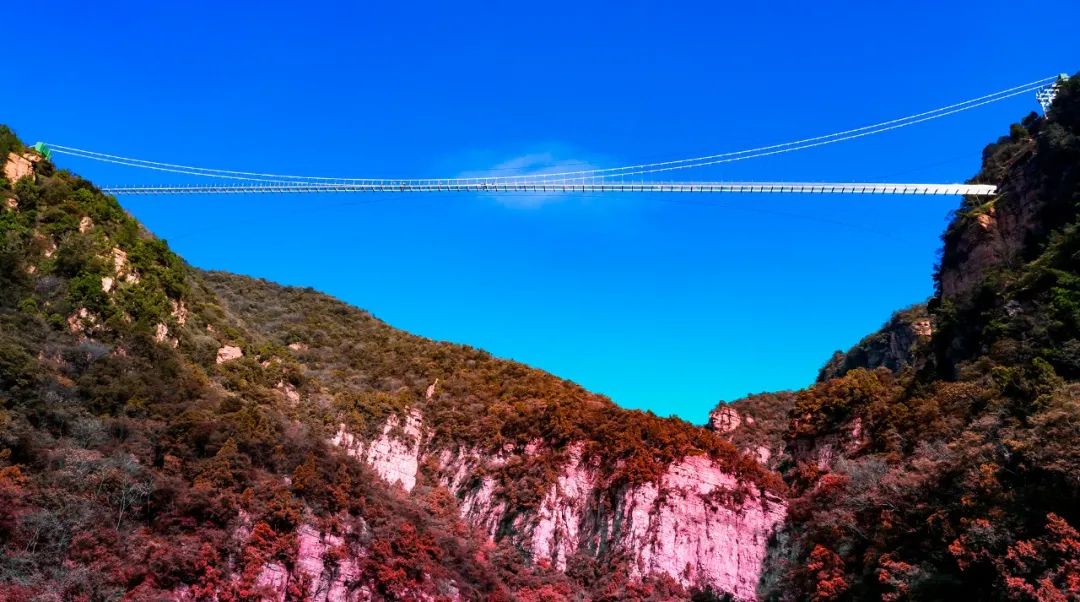 /uploads/image/2025/10/25/9560dbf17ffa9a427e073bb179c366fc.jpg /uploads/image/2025/10/25/9560dbf17ffa9a427e073bb179c366fc.jpg