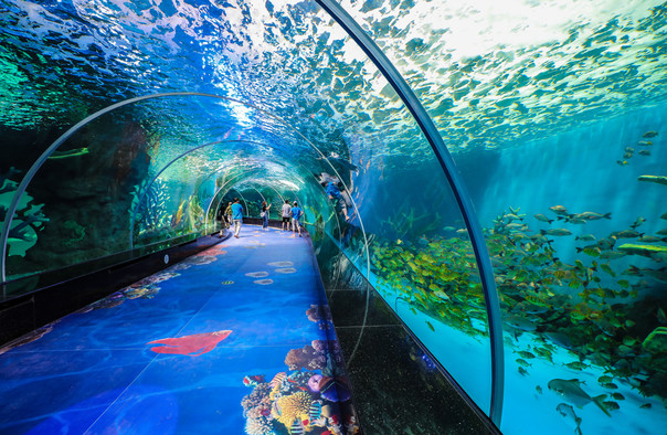 /uploads/image/2025/10/27/765770dfa555f7b5a716b0249538db76.jpg /uploads/image/2025/10/27/765770dfa555f7b5a716b0249538db76.jpg