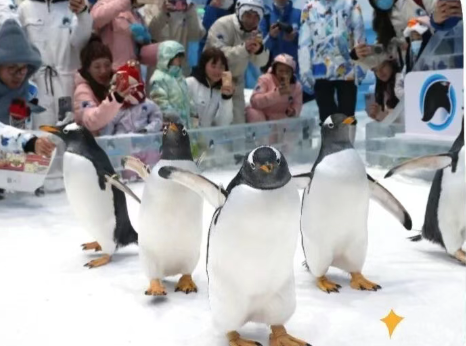 /uploads/image/2025/10/27/d92e394dcd94de27b396fb4abbdd443c.png /uploads/image/2025/10/27/d92e394dcd94de27b396fb4abbdd443c.png