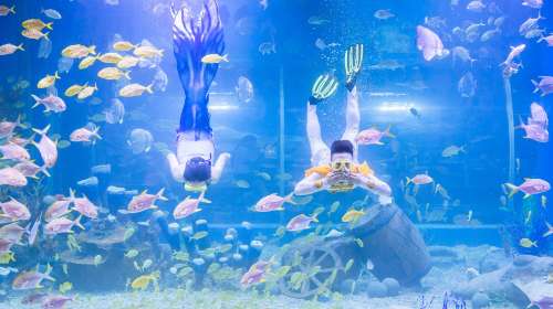 /uploads/image/2025/10/27/2925f5f2984feb6d4eb6d64c1d46d718.jpg /uploads/image/2025/10/27/2925f5f2984feb6d4eb6d64c1d46d718.jpg