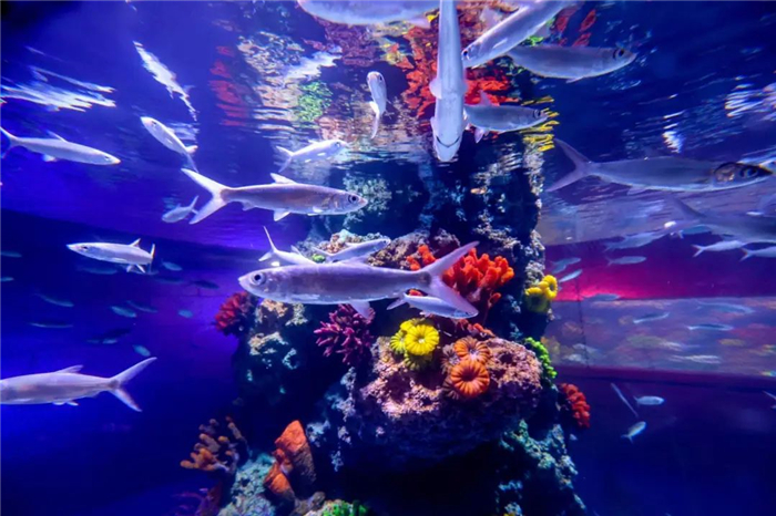 /uploads/image/2025/10/27/3c2337f0e4d2a1cadf9662dc5cac601a.jpg /uploads/image/2025/10/27/3c2337f0e4d2a1cadf9662dc5cac601a.jpg