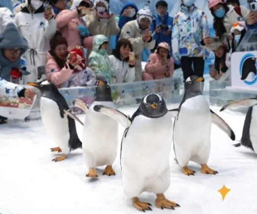 正佳企鹅冰雪世界