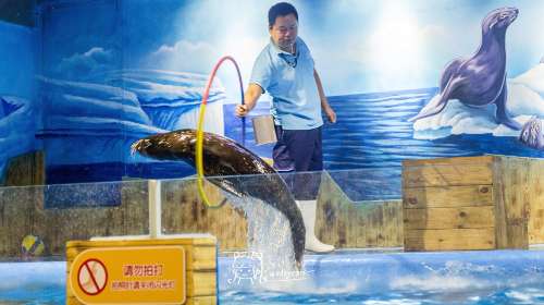 /uploads/image/2025/10/27/968dfada2deaa08ad9d179c185c65b57.jpg /uploads/image/2025/10/27/968dfada2deaa08ad9d179c185c65b57.jpg