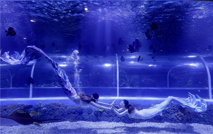 /uploads/image/2025/10/27/2a00fd4a9305b02a46db5359a7341253.jpg /uploads/image/2025/10/27/2a00fd4a9305b02a46db5359a7341253.jpg