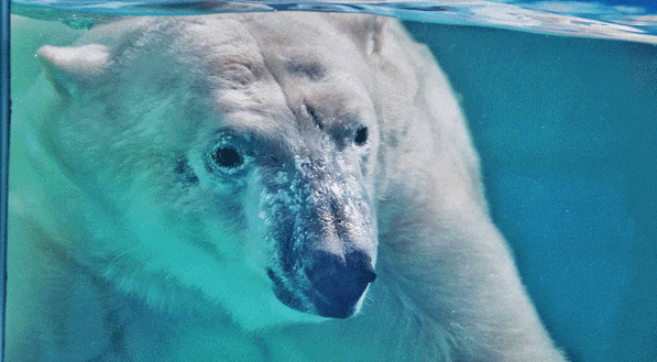 泉州欧乐堡海洋王国乐园 泉州欧乐堡海洋王国乐园