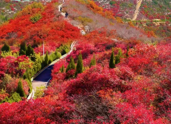 /uploads/image/2025/10/27/bcd9b43debdbff9044a77b1cc354c416.png /uploads/image/2025/10/27/bcd9b43debdbff9044a77b1cc354c416.png