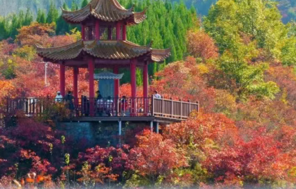 /uploads/image/2025/10/27/75c1c16a785c9dc510fa447b5decba18.png /uploads/image/2025/10/27/75c1c16a785c9dc510fa447b5decba18.png