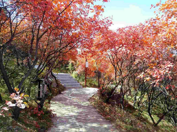 巩义长寿山风景区 巩义长寿山风景区