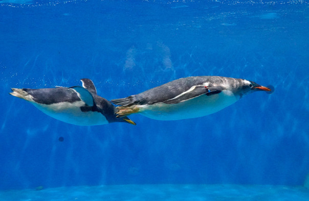 /uploads/image/2025/10/27/c699134410c4a23f396256c9d7ec2e19.jpg /uploads/image/2025/10/27/c699134410c4a23f396256c9d7ec2e19.jpg