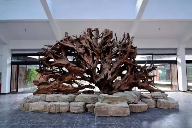 古木博物馆 古木博物馆