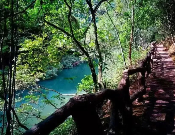 /uploads/image/2025/10/28/a31274c34acf6e46d6a9412fb8dacb1a.png /uploads/image/2025/10/28/a31274c34acf6e46d6a9412fb8dacb1a.png