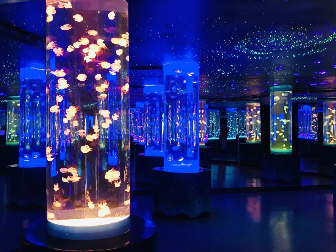 /uploads/image/2025/10/28/5d1eefe2a6f957433ed44fdc99dd861c.jpg /uploads/image/2025/10/28/5d1eefe2a6f957433ed44fdc99dd861c.jpg