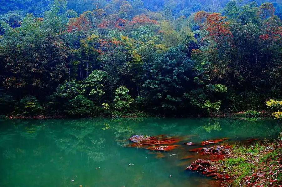 /uploads/image/2025/10/28/d9f1ed71656009ffad2fd3bb1f856660.jpg /uploads/image/2025/10/28/d9f1ed71656009ffad2fd3bb1f856660.jpg