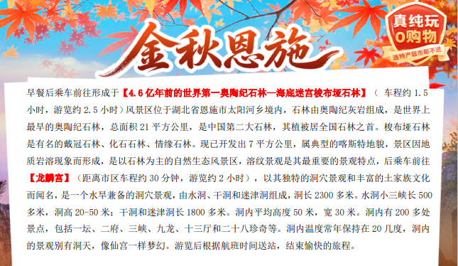 /uploads/image/2025/10/28/496bafe9a6ce8b0fabeefacd1a58c202.png image.png