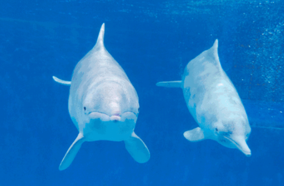 兰州海洋公园 兰州海洋公园