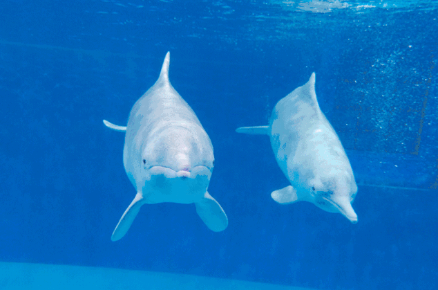 /uploads/image/2025/10/28/75aa3d0dcdab6d86067cc01045b99f95.png /uploads/image/2025/10/28/75aa3d0dcdab6d86067cc01045b99f95.png